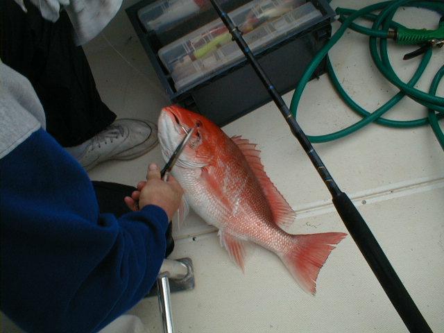 Image02