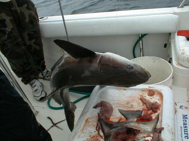 Image04