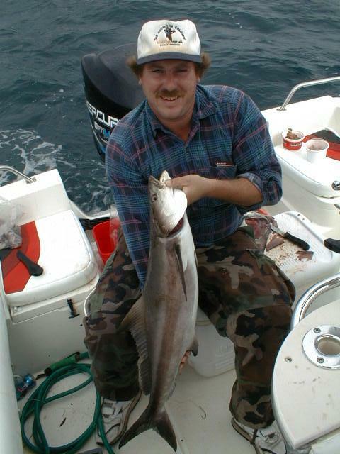 Image05