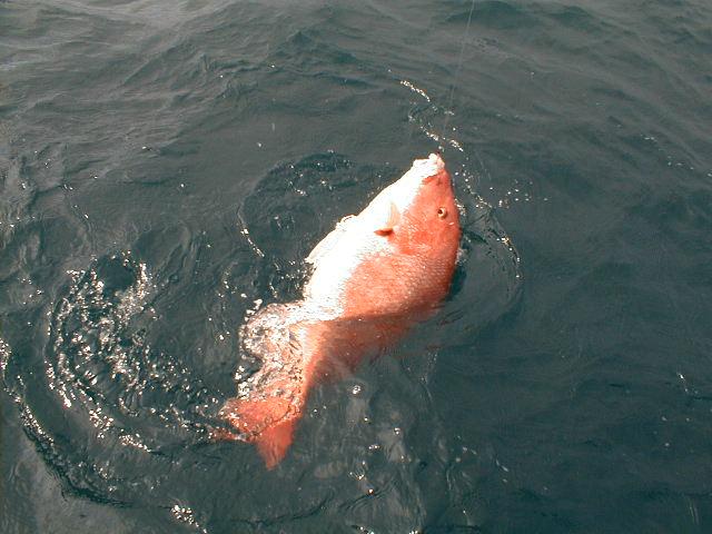Image08