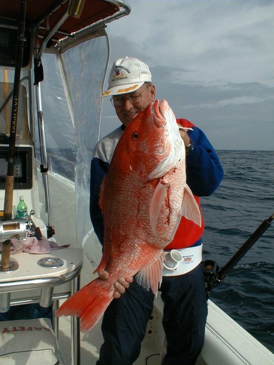 Image11