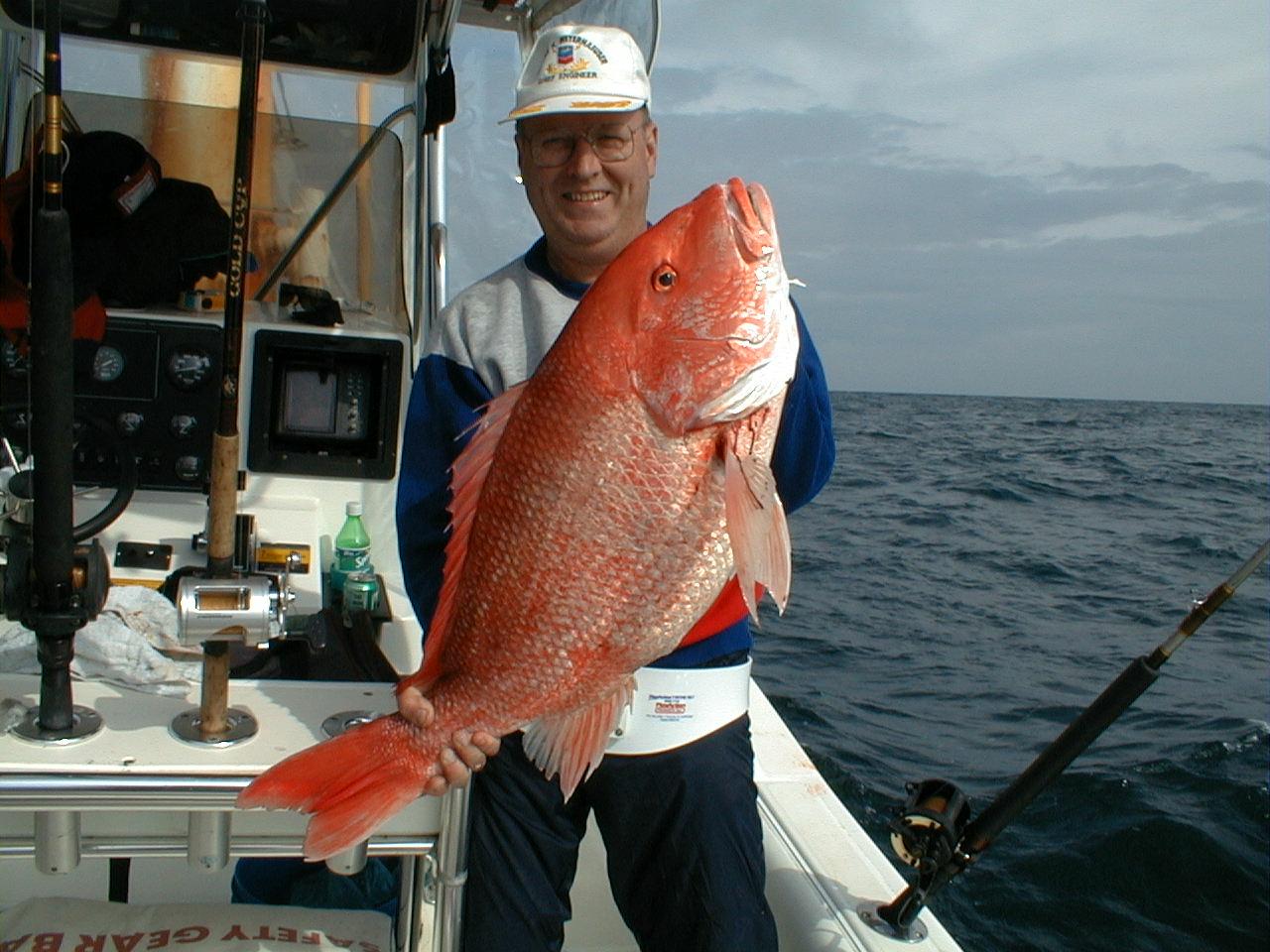 Image12