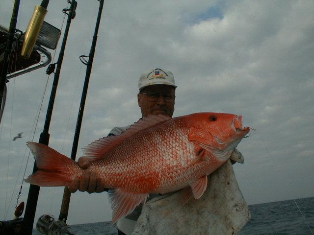Image31