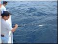 Jun28_18