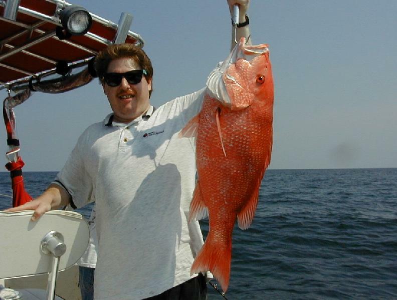 22_Rodney_Nice_Snapper_med
