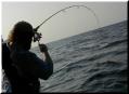 02_Mike_Hookup