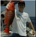 09_Ted_Snapper