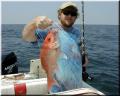 15_Mike_Snapper