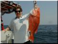 22_Rodney_Nice_Snapper