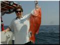 22_Rodney_Nice_Snapper_sm