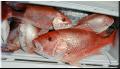 24_Box_of_Fish