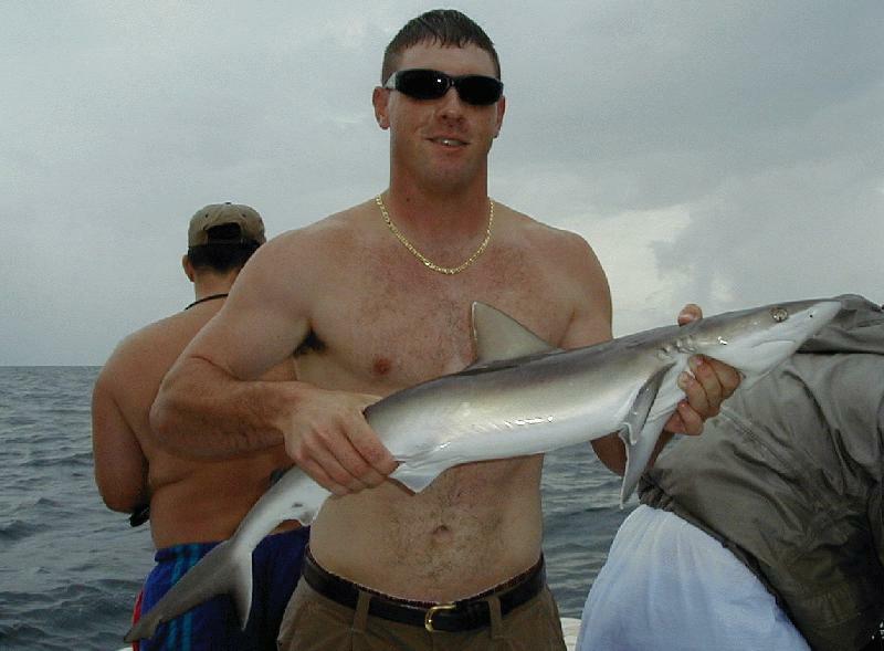 01_Jim_Shark