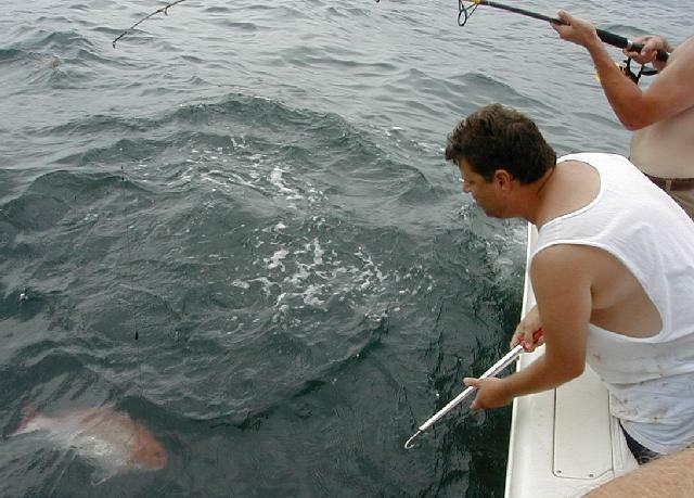 40_Charlie_Gaffing_Jim's_Snapper