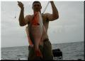 43_Jim_Snapper