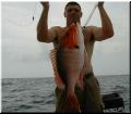 44_Jim_Snapper