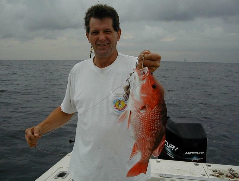01_Roy_Snapper