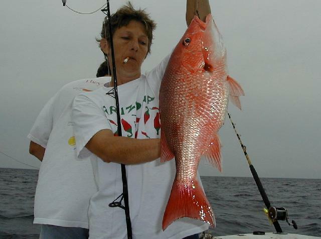 07_Wanda_Snapper_sm