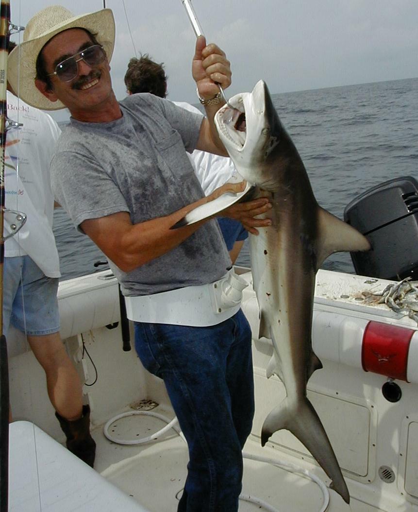 12_Ray_Shark