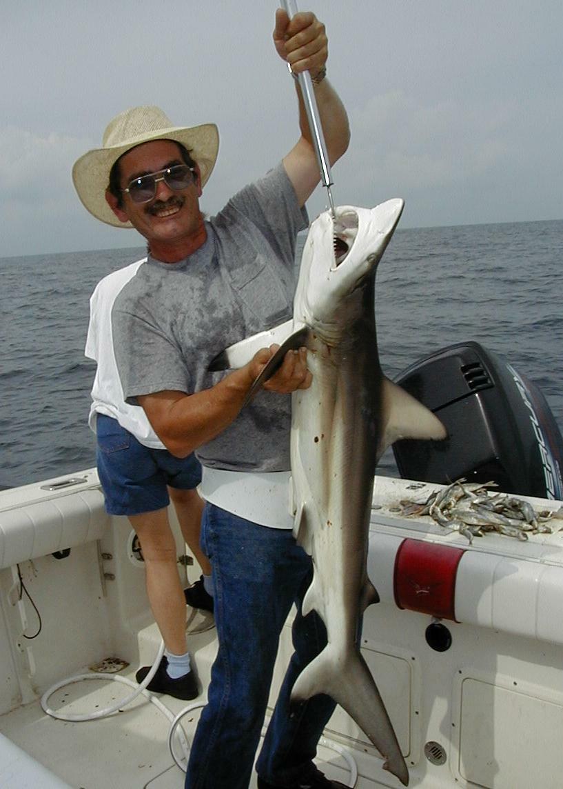 13_Ray_Shark