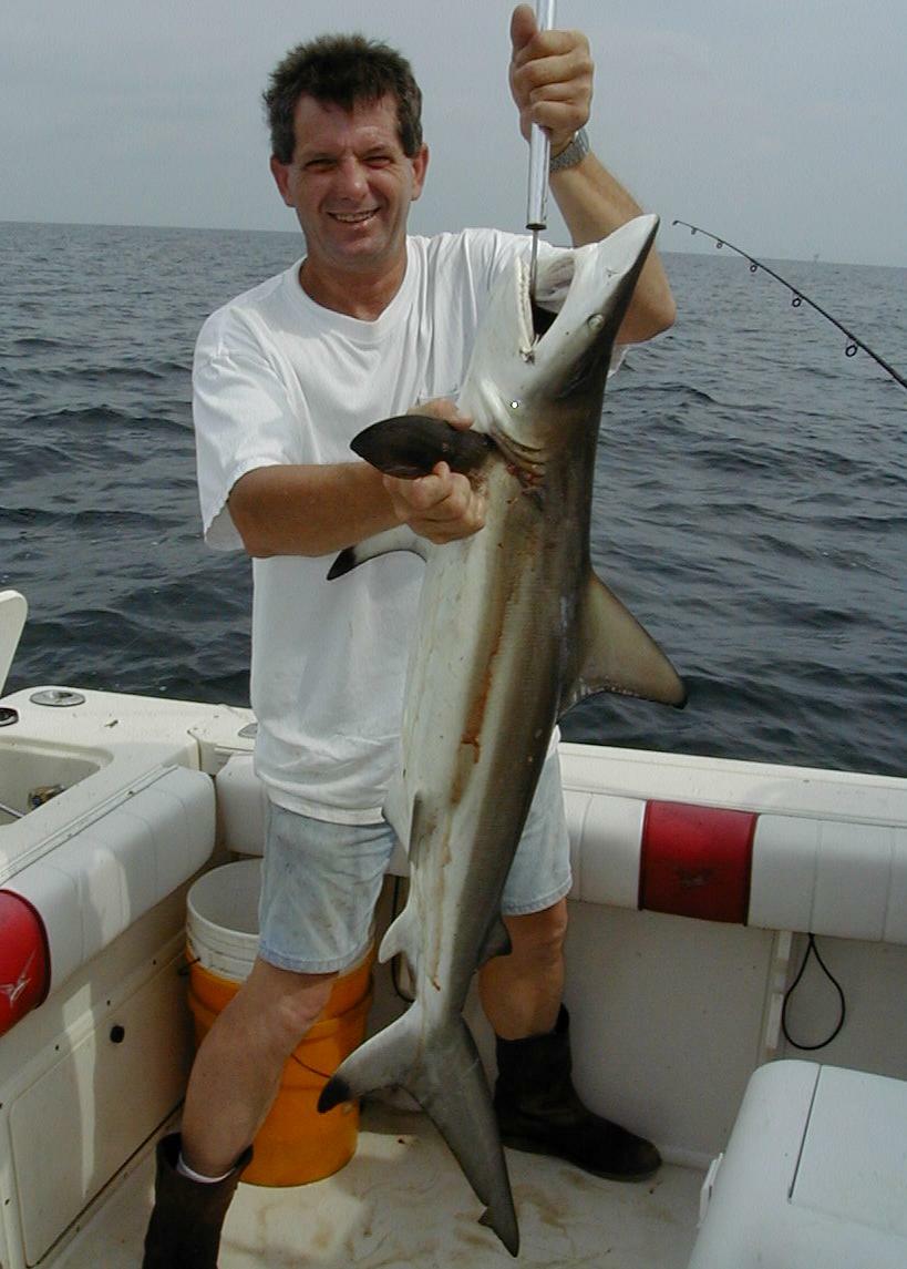 15_Roy_Shark