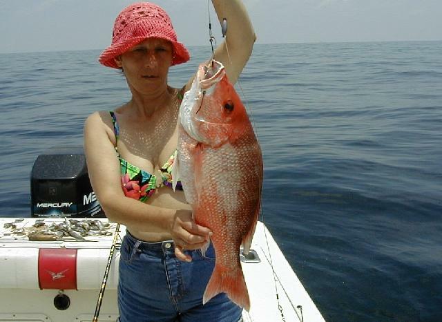 27_Wanda_Snapper_sm