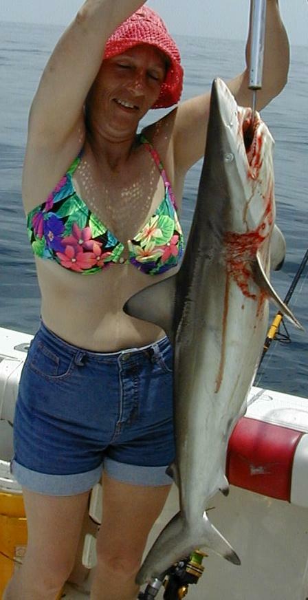 31_Wanda_Shark