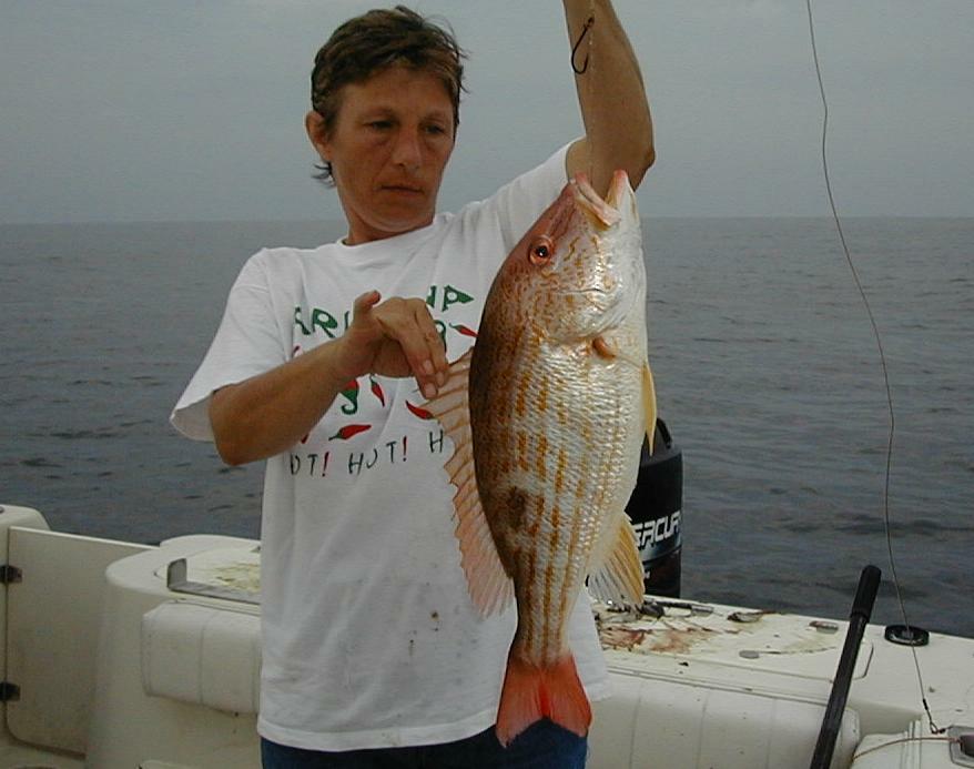 43_Wanda_Big_Lane_Snapper