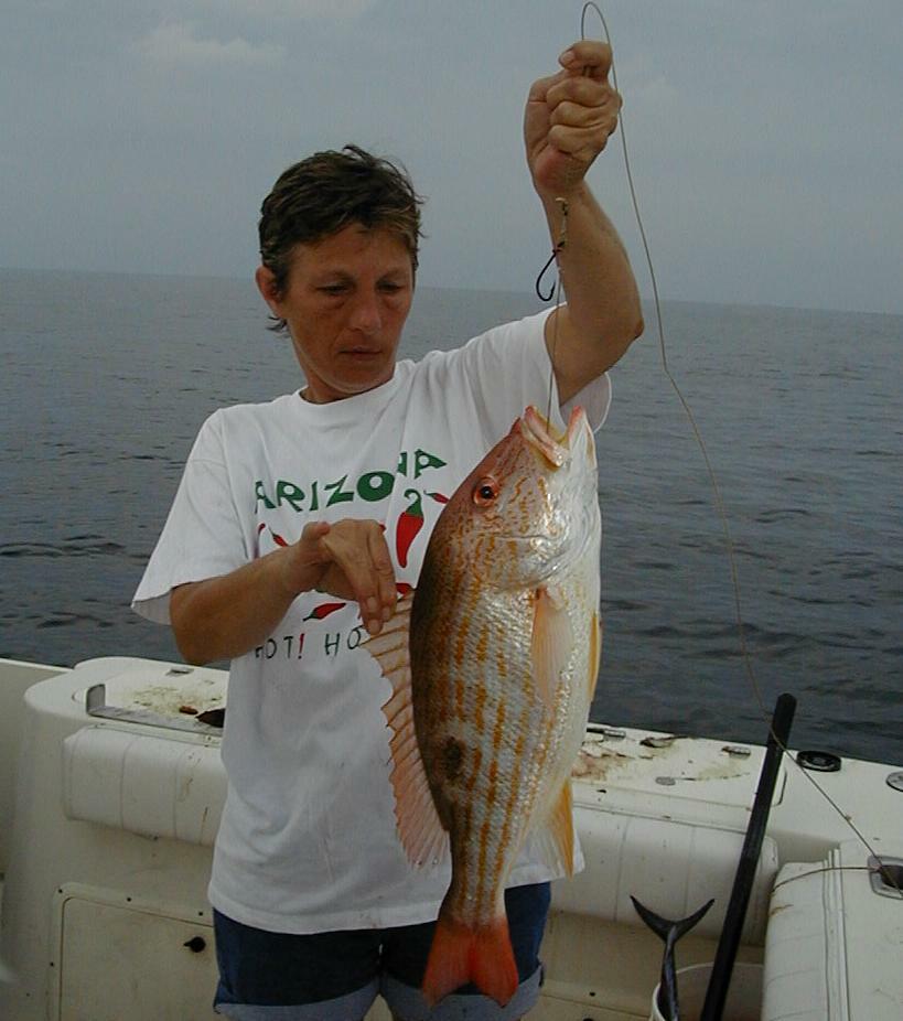 44_Wanda_Big_Lane_Snapper