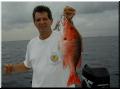 02_Roy_Snapper