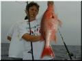 07_Wanda_Snapper