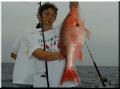 07_Wanda_Snapper_sm