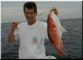08_Roy_Snapper