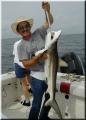 13_Ray_Shark