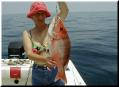 27_Wanda_Snapper