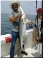 40_Ray_Shark_sm