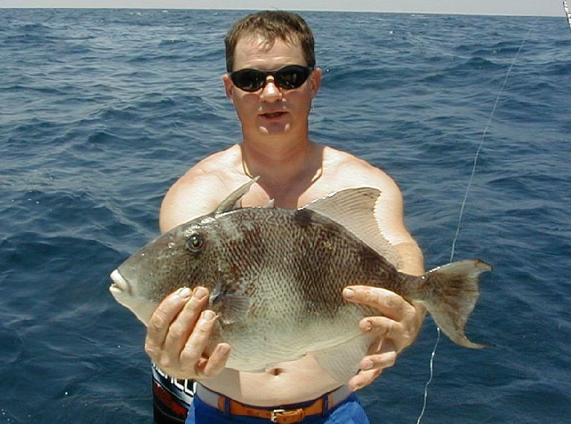 22_Kevin_Trigger