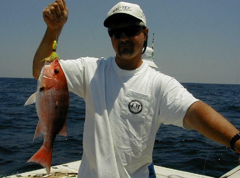 31_Snapper