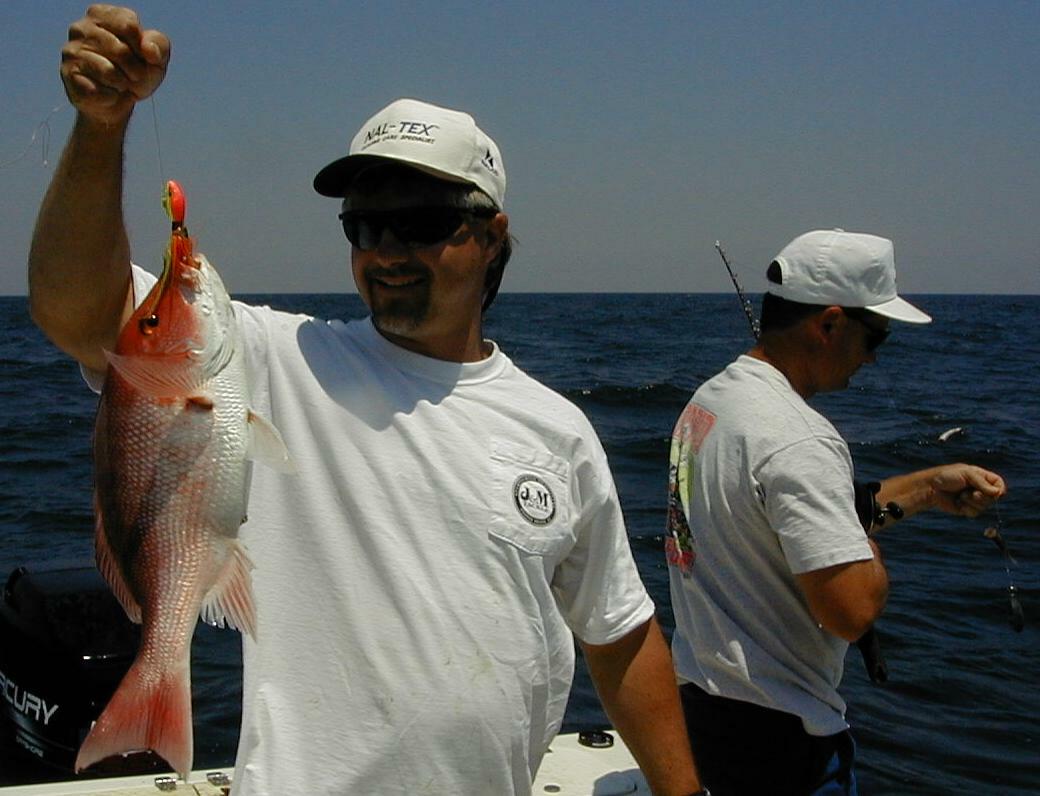 32_Snapper