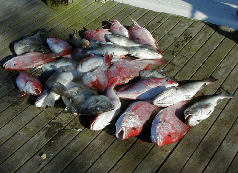 33_Catch_Pile