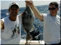 11_Raymond_Kevin_Trigger