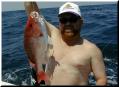 18_Floore_Snapper