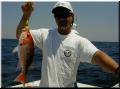 31_Snapper