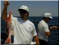 32_Snapper