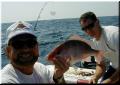 8_Floore_Kevin_Snapper