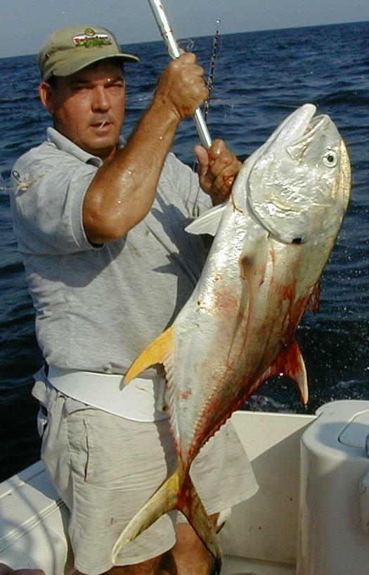 01_John_Jack_Crevalle