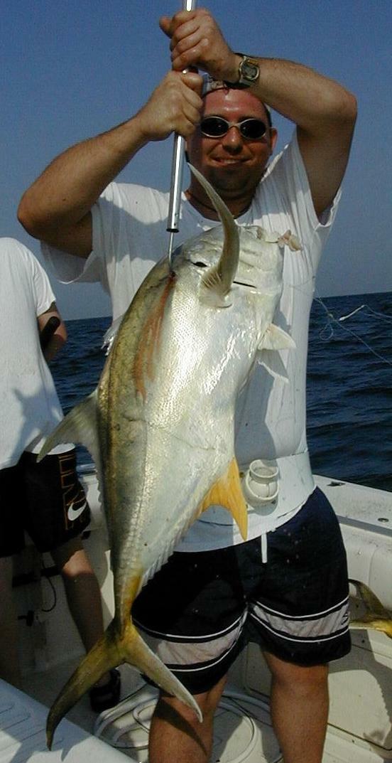 05_John_Jr_Jack_Crevalle