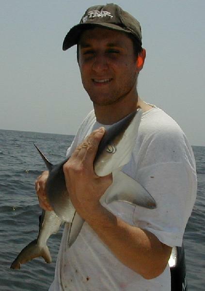 25_Francis_Shark