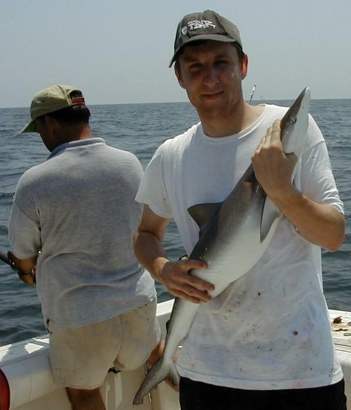 26_Francis_Shark