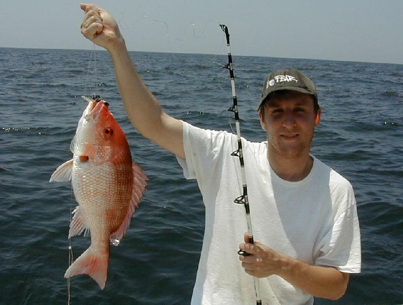 28_Francis_Snapper