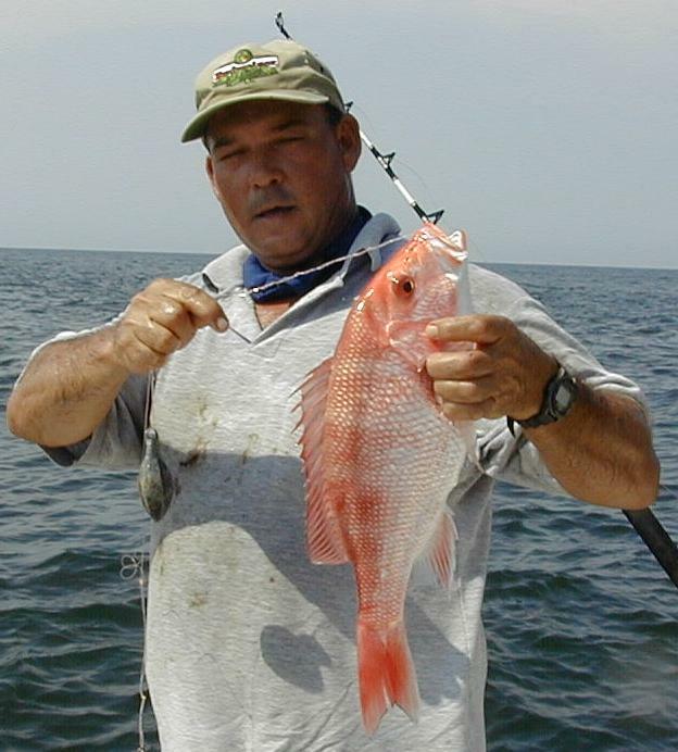 31_John_Snapper
